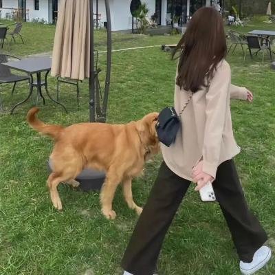 麦可·阿拉戈